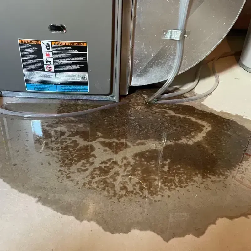 Appliance Leak Cleanup in Louisiana, MO